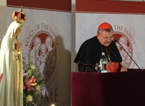 You are currently viewing Cardinal Burke Leads Army Of Rosary Warriors