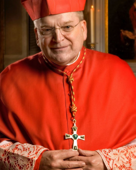 Cardinal Raymond Burke Catholic Medical School